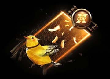The xBet illustration showing the extra-cost setting beside a canary