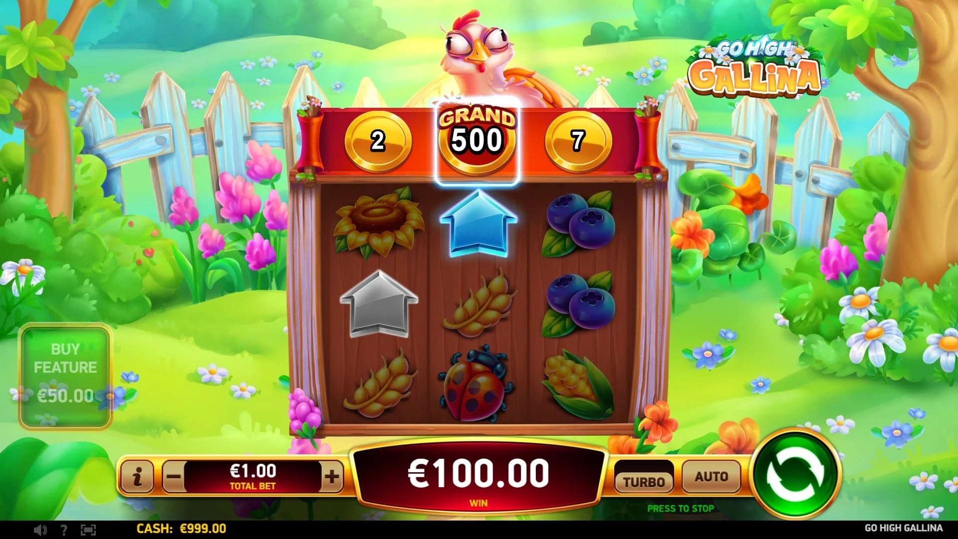 Go High Gallina: Horizontal Go High prize reel