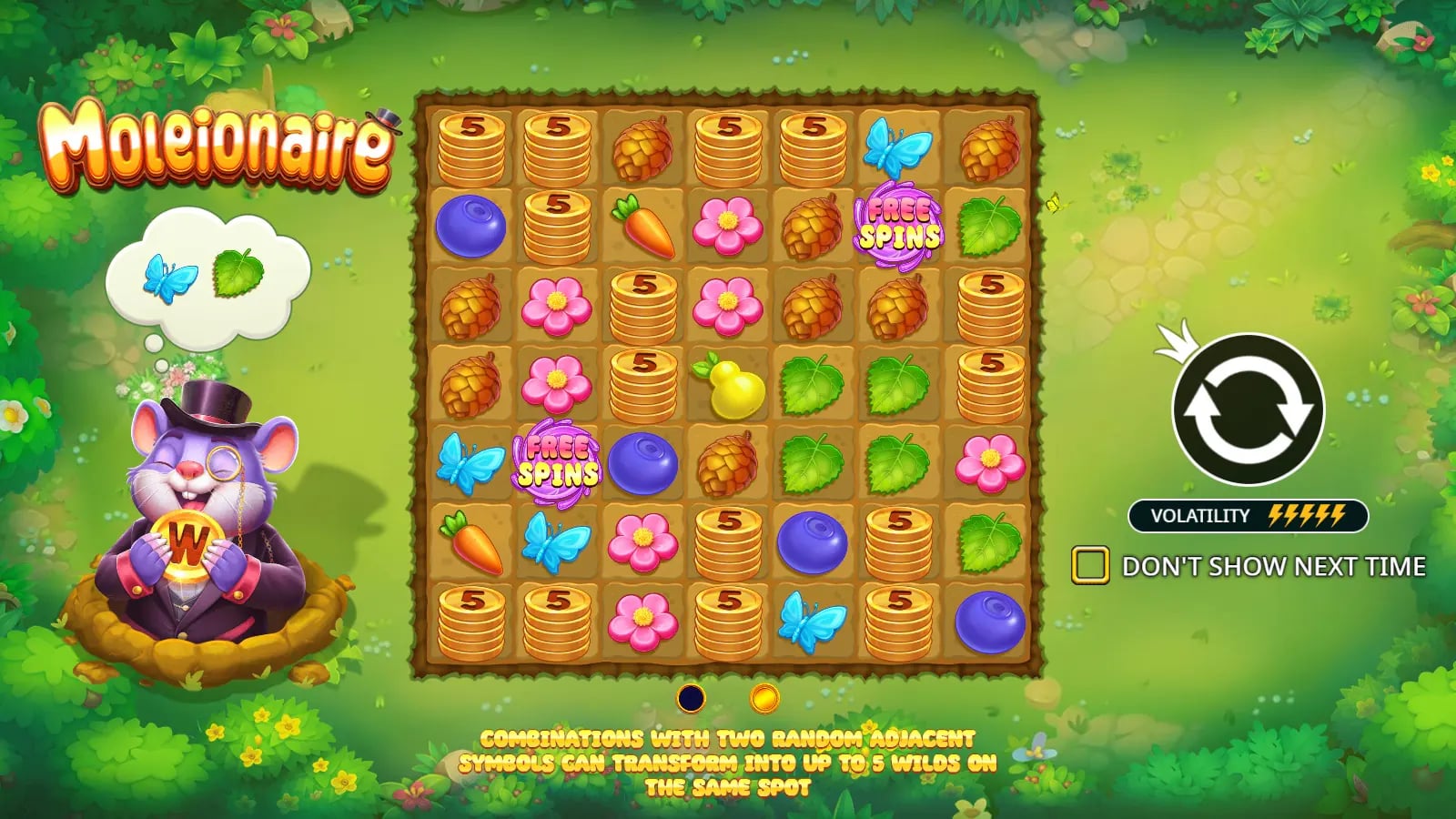 Moleionaire illustrated 7×7 garden introduction with sample symbols, a selected pair and Wild explanation.