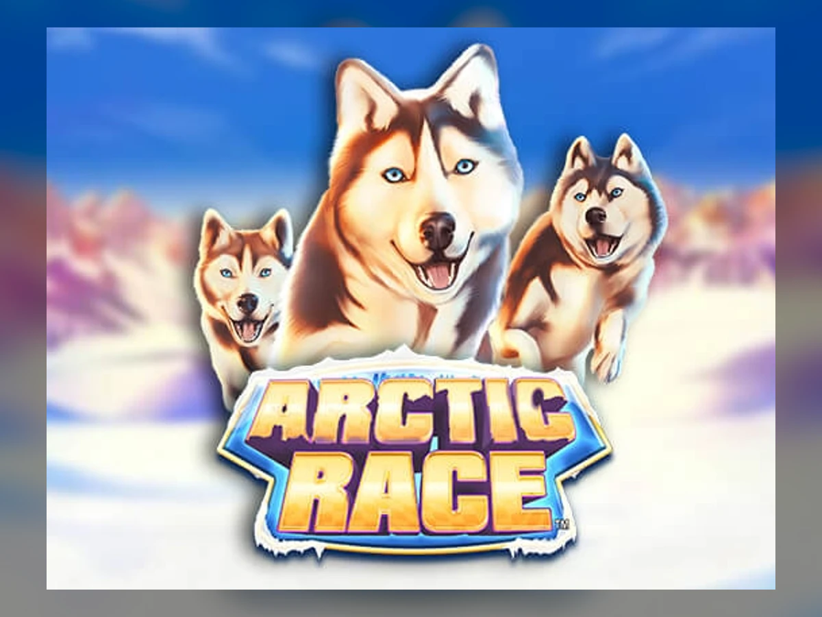 Arctic Race slot game artwork