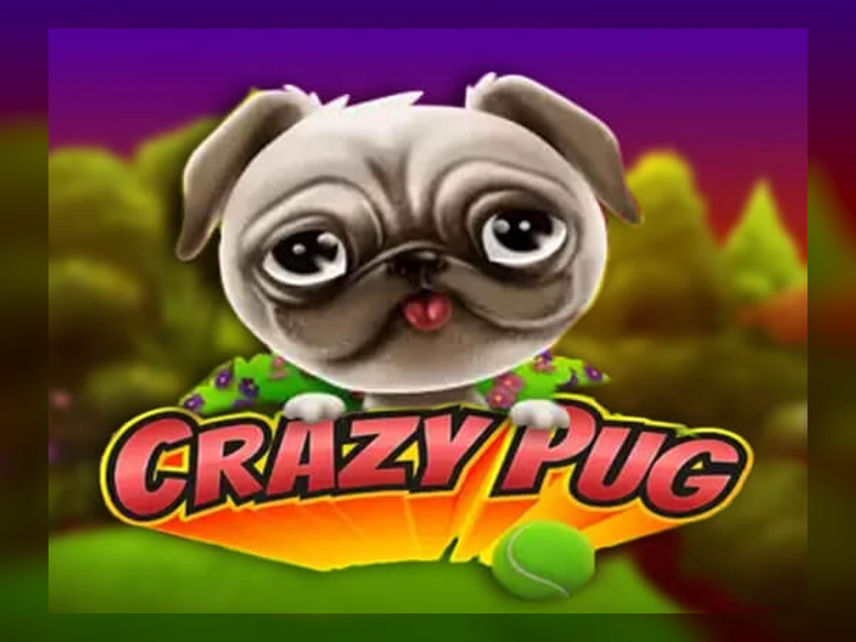 Crazy Pug slot game artwork