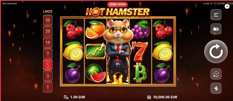 Hot Hamster slot game artwork