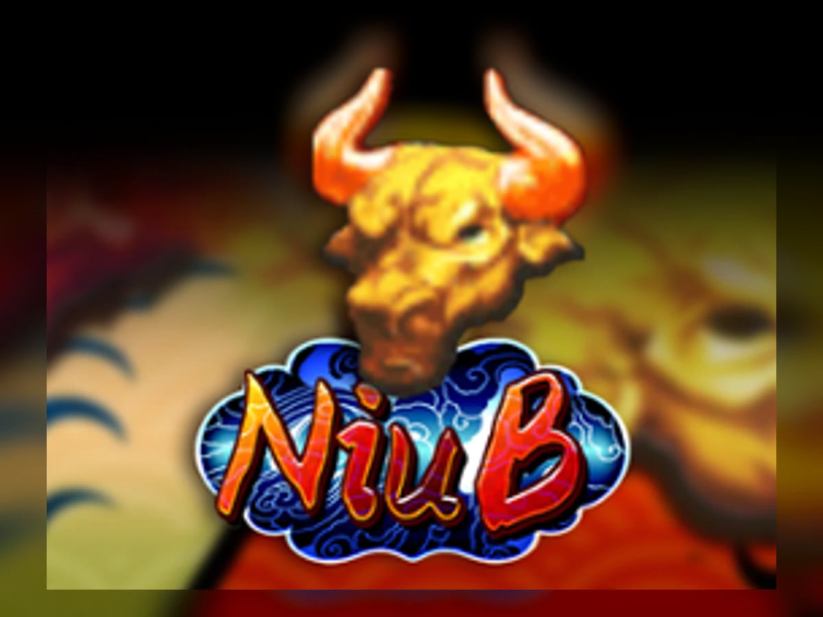 Niu B slot game artwork