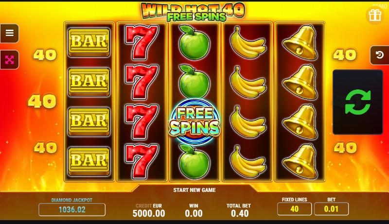 Wild Hot 40 slot game artwork