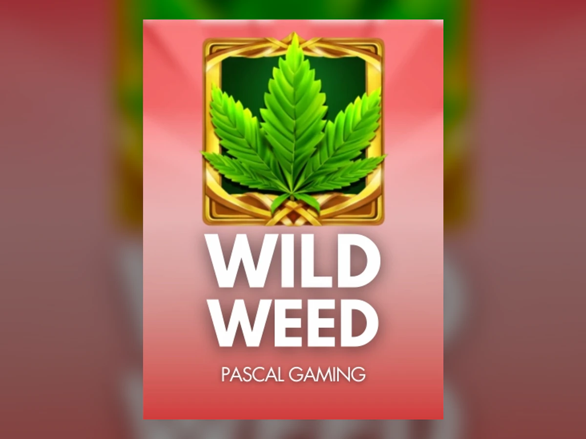 Wild Weed slot game artwork