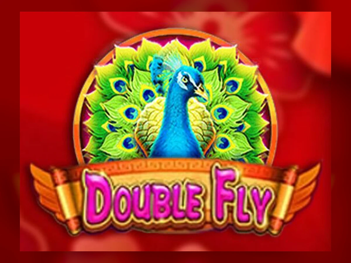Double Fly slot game artwork