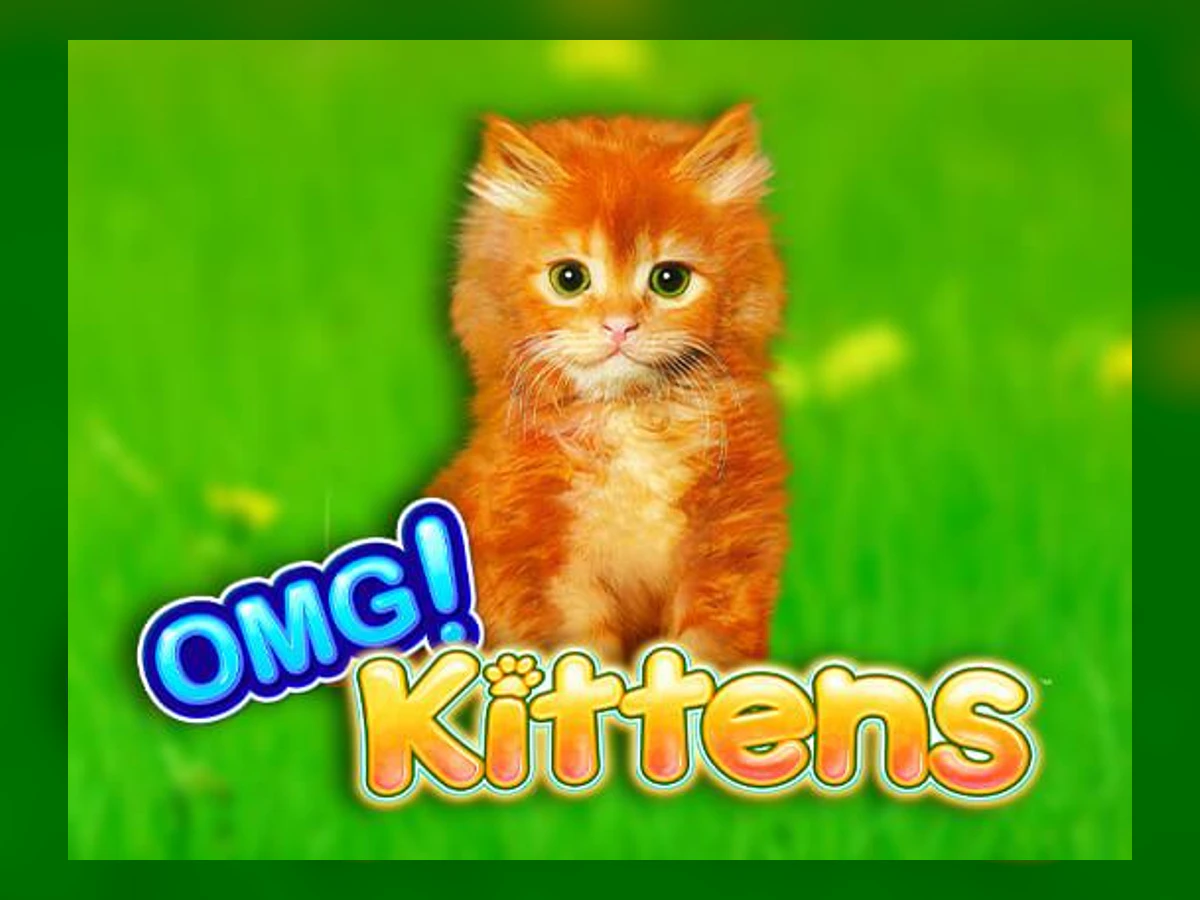 OMG! Kittens slot game artwork