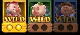 Three Piggy Wild portraits with their tumble-progress markers