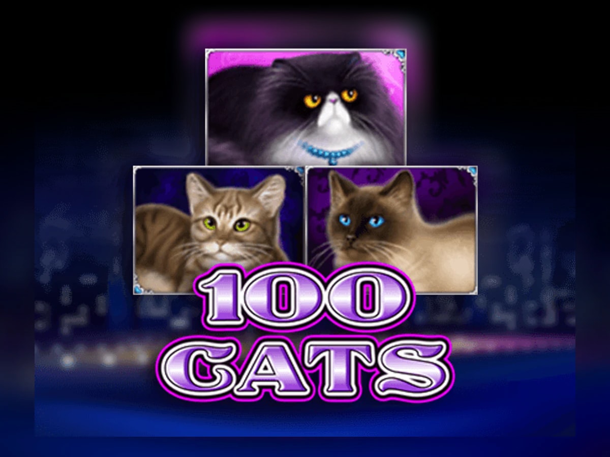 100 Cats slot game artwork