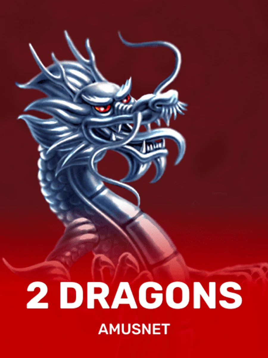 2 Dragons slot game artwork