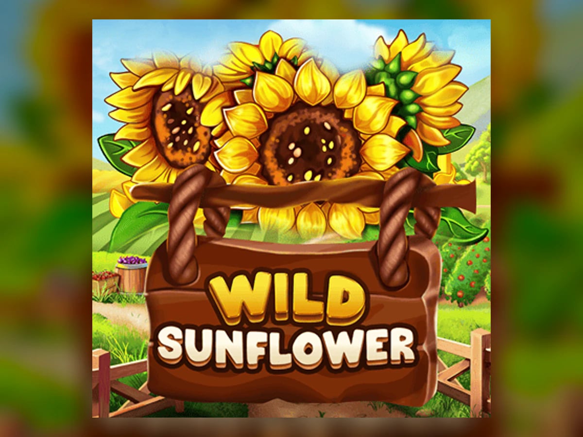 Wild Sunflower slot game artwork