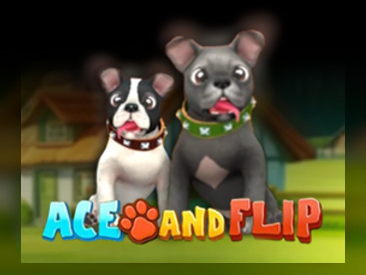 Ace and Flip slot game artwork