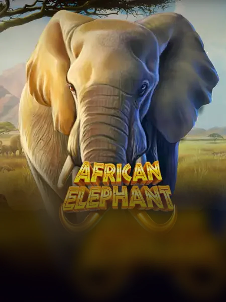 African Elephant slot game artwork