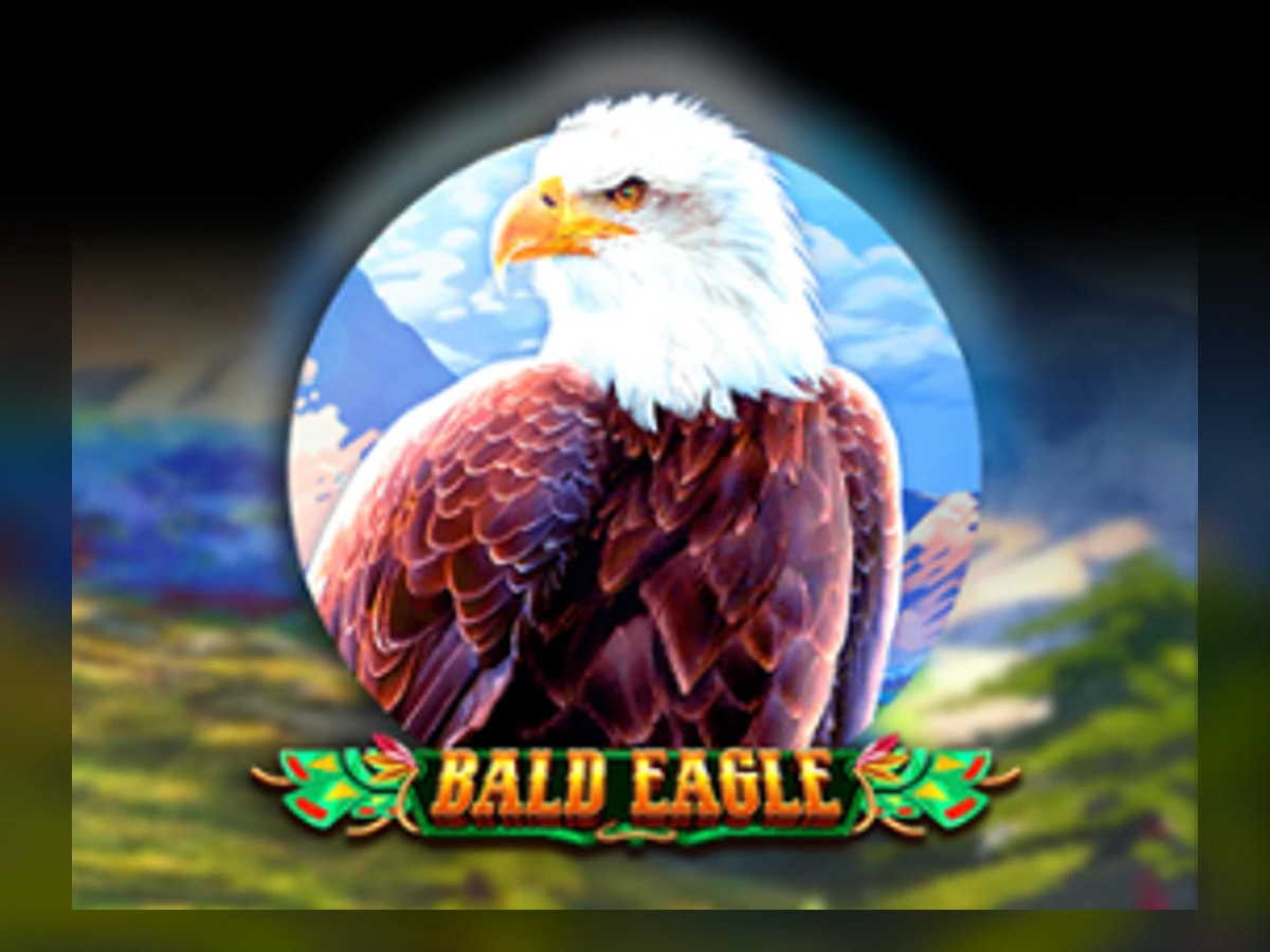 Bald Eagle slot game artwork