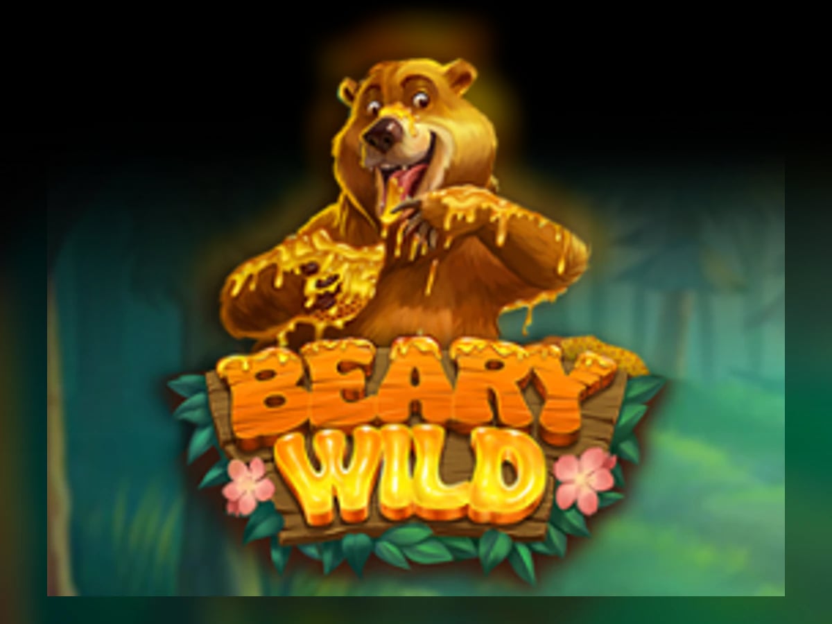 Beary Wild slot game artwork