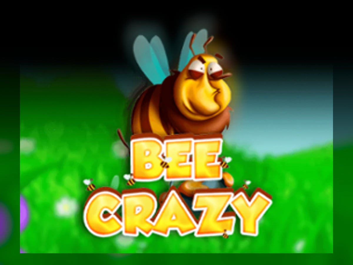Bee Crazy slot game artwork