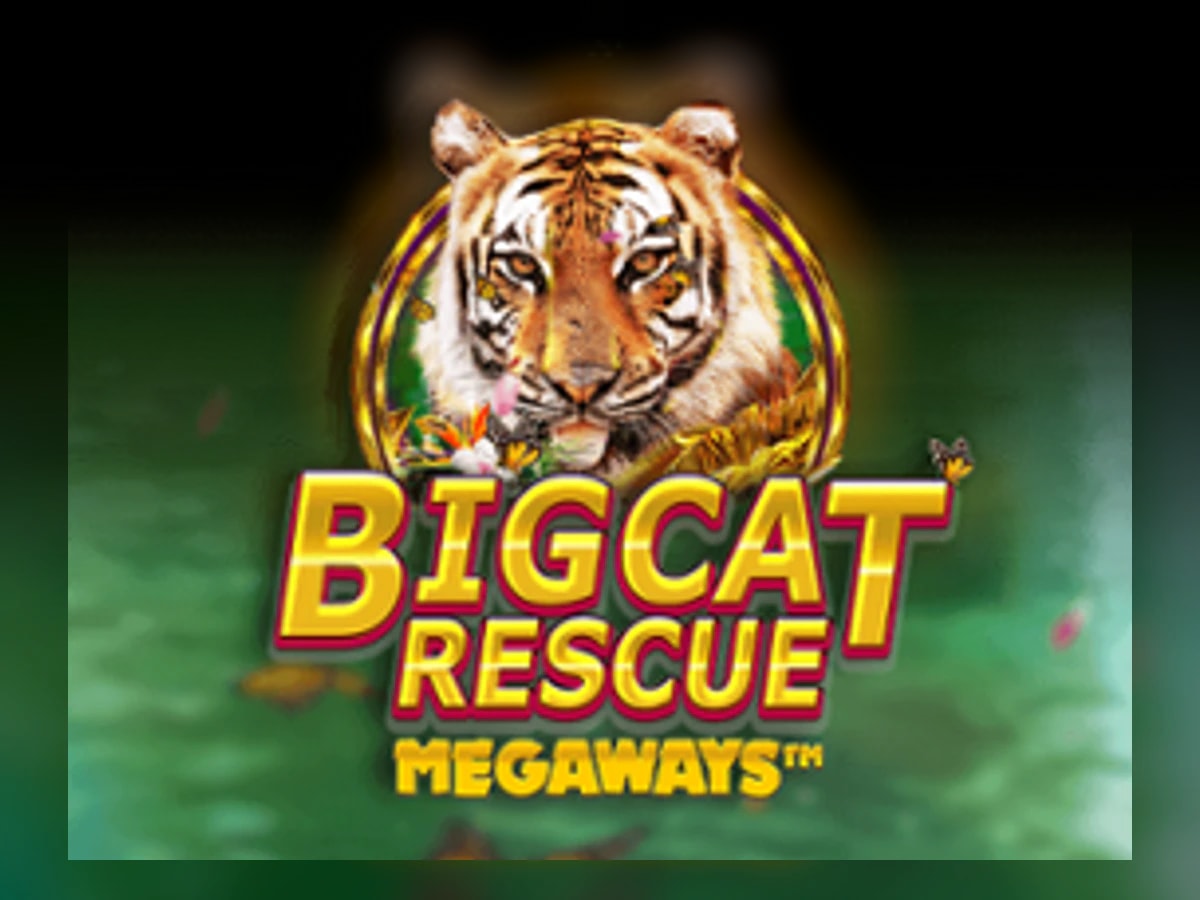 Big Cat Rescue Megaways slot game artwork