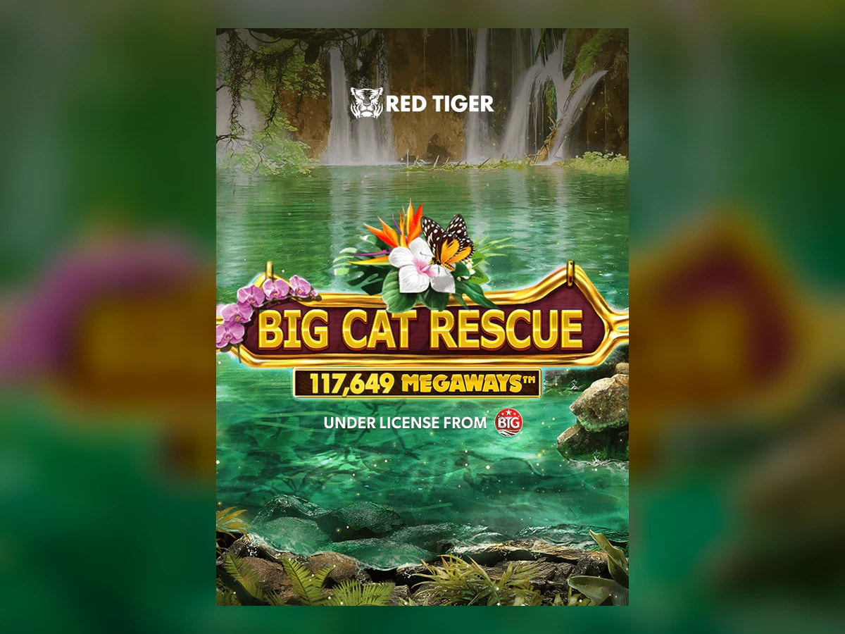 Big Cat Rescue Megaways™ slot game artwork