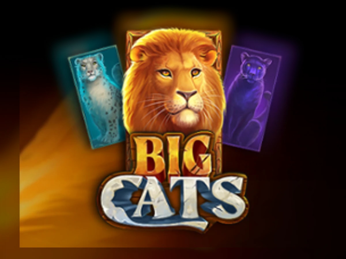 Big Cats of India slot game artwork