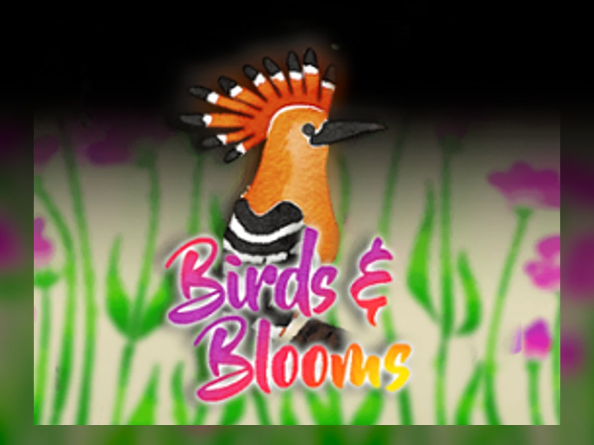 Birds slot game artwork