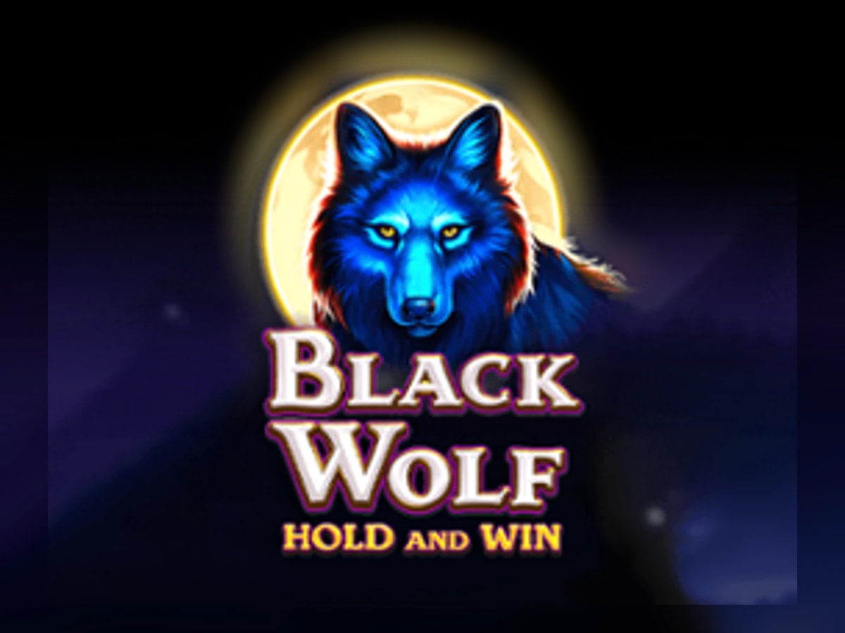 Black Wolf slot game artwork