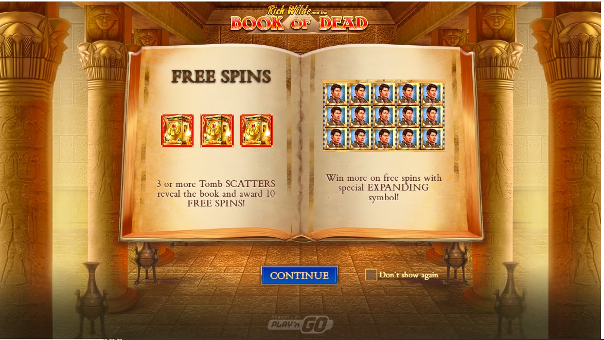 Book of Dead slot game artwork