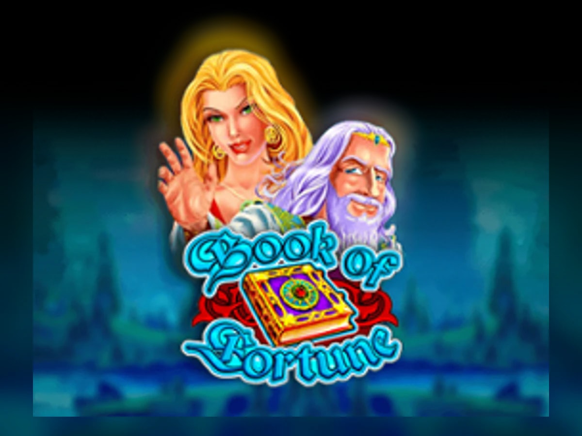 Book of Fortune slot game artwork