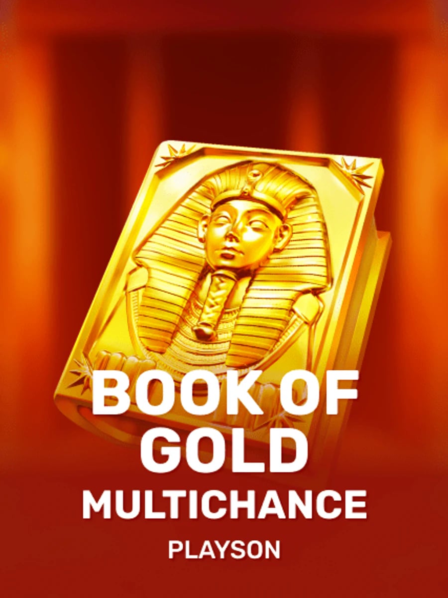 Book Of Gold Multichance slot game artwork