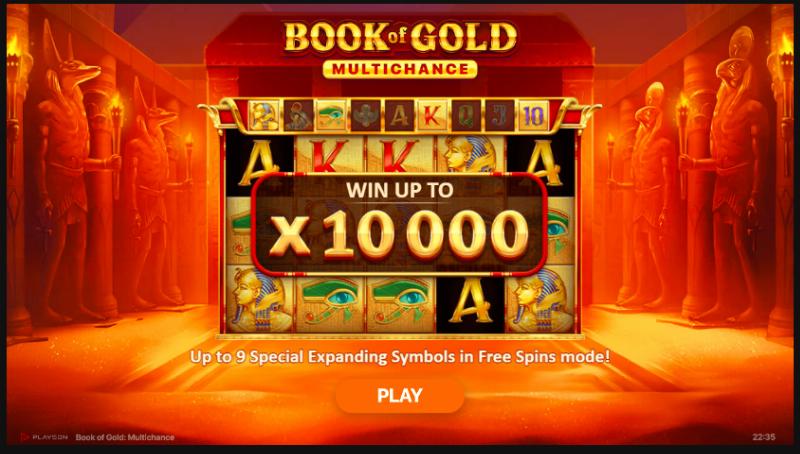 Book Of Gold Multichance slot game artwork