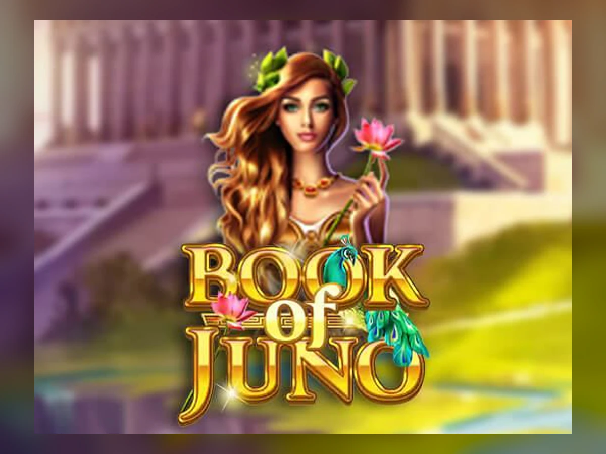 Book of Juno slot game artwork