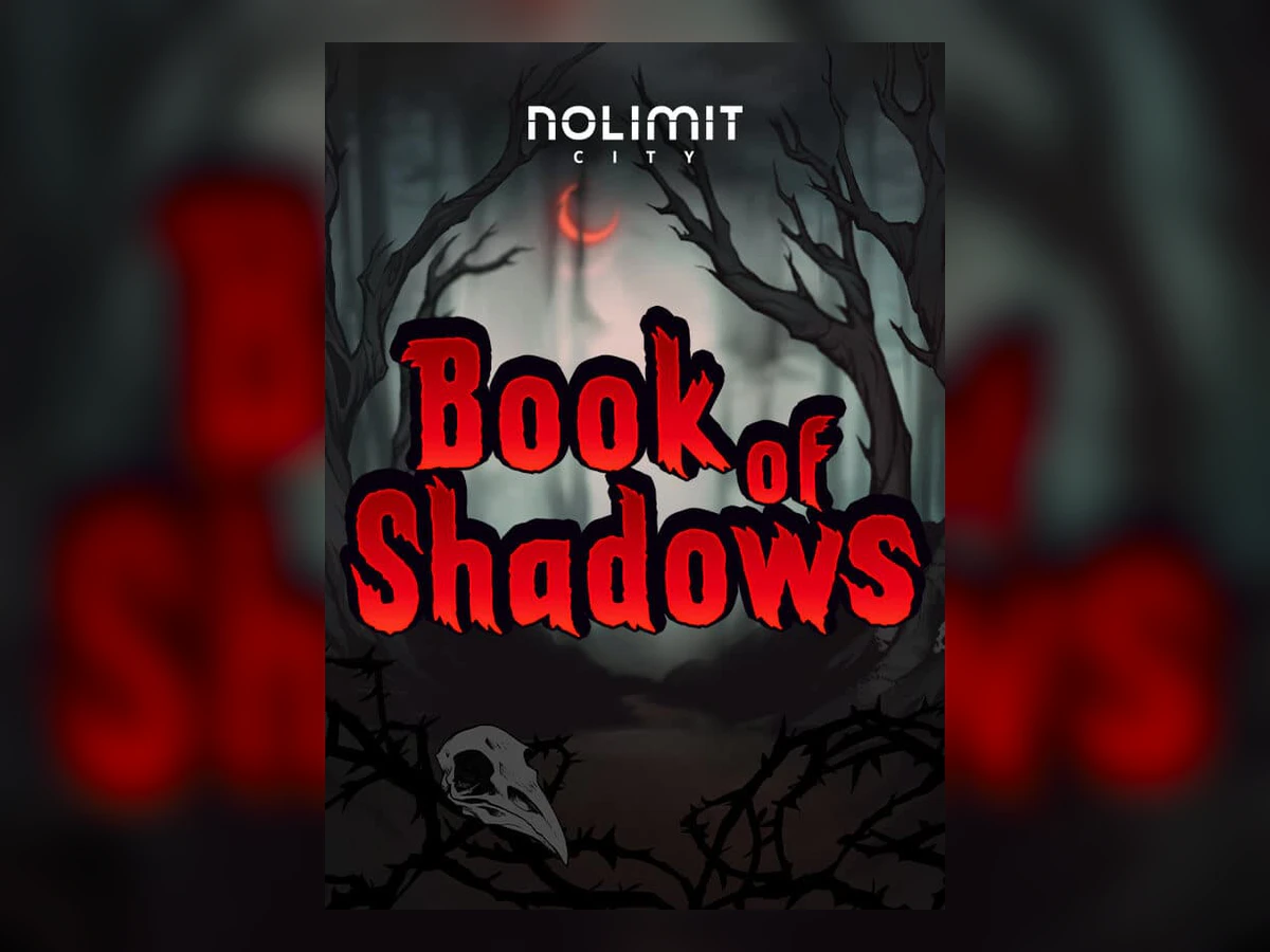 Book of Shadows slot game artwork