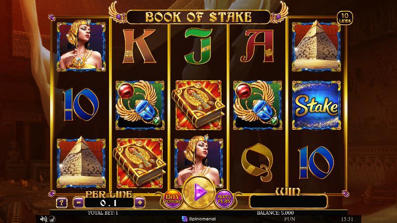 Book Of Stake slot game artwork