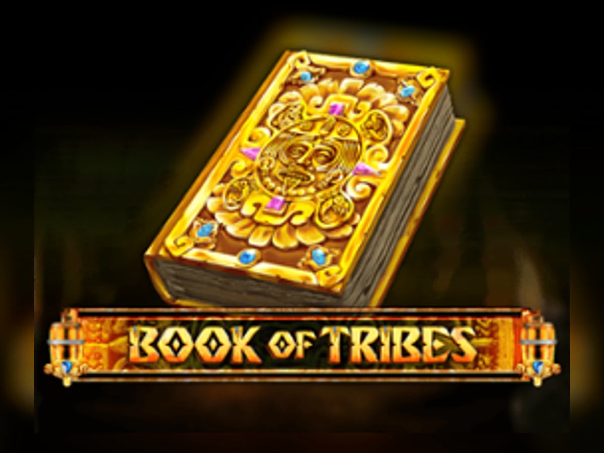 Book Of Tribes slot game artwork