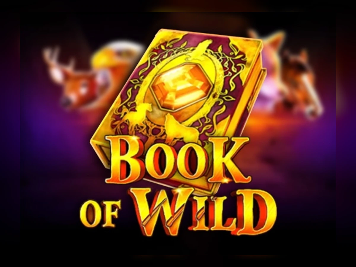 Book of Wild slot game artwork
