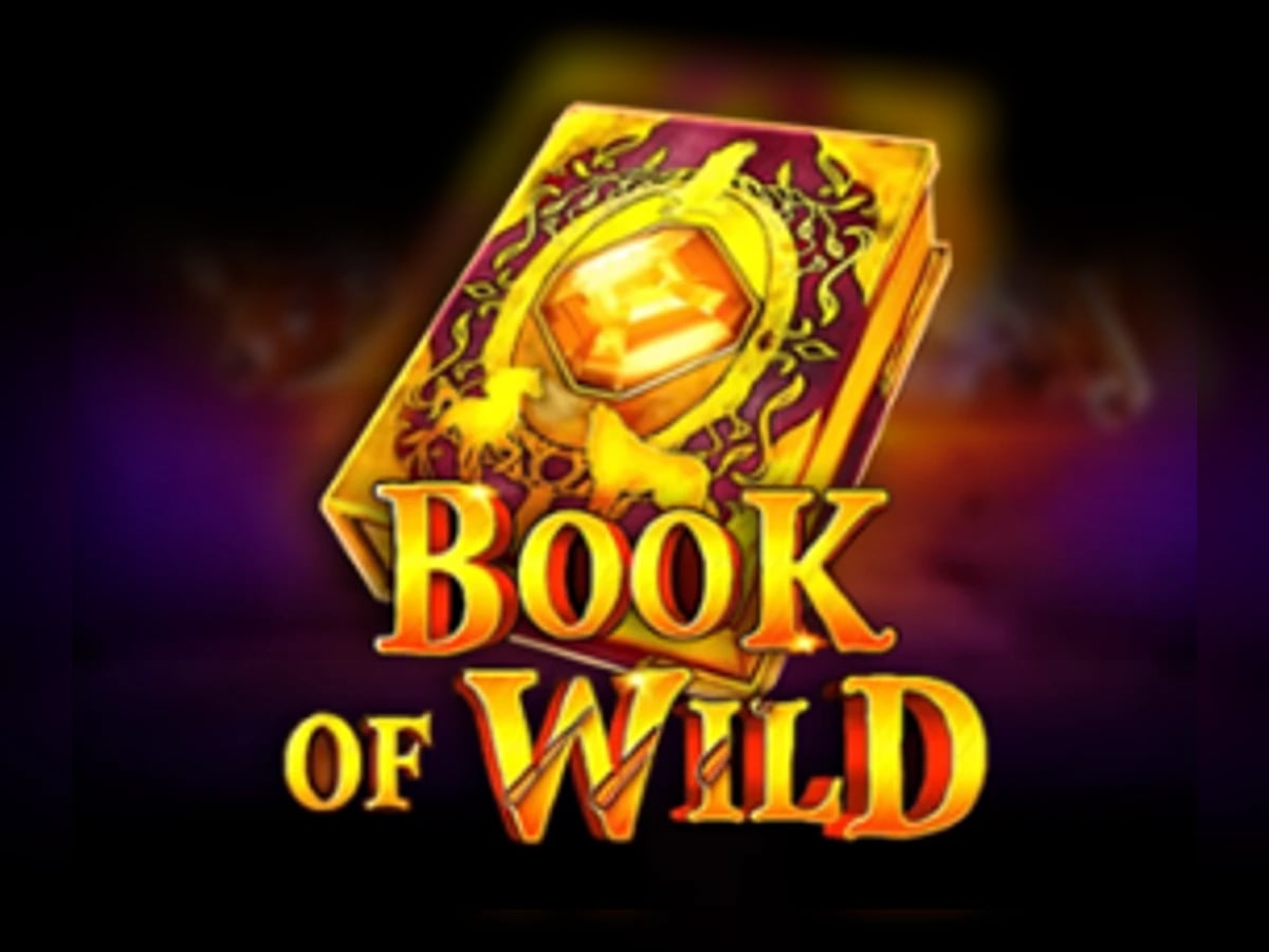 Book of Wild slot game artwork