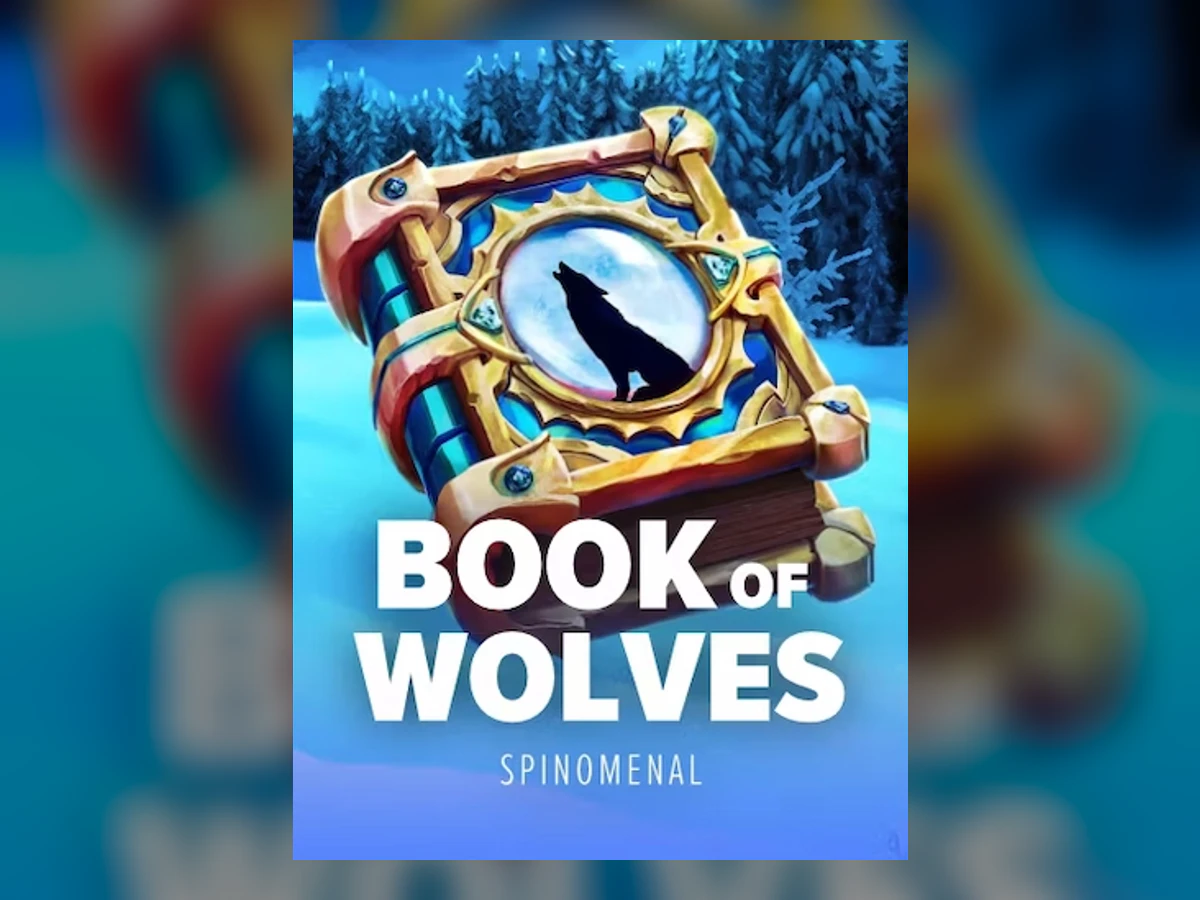 Book Of Wolves slot game artwork