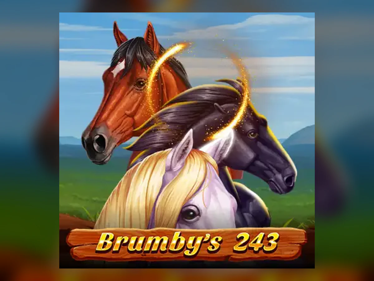 Brumby's 243 slot game artwork