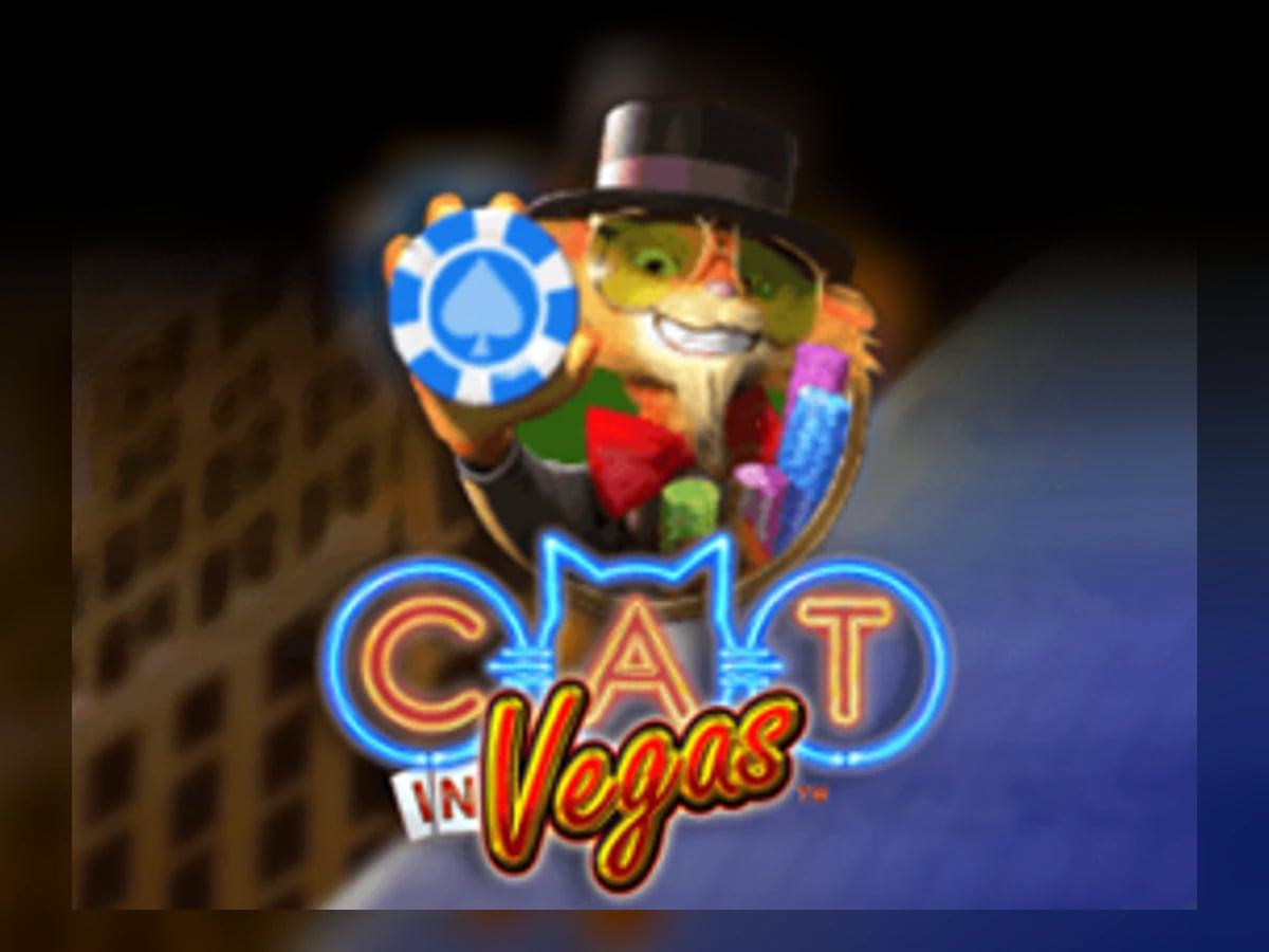 Cat in Vegas slot game artwork