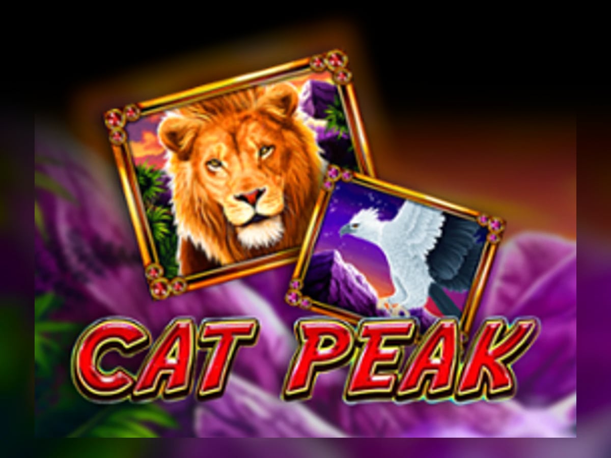 Cat Peak slot game artwork