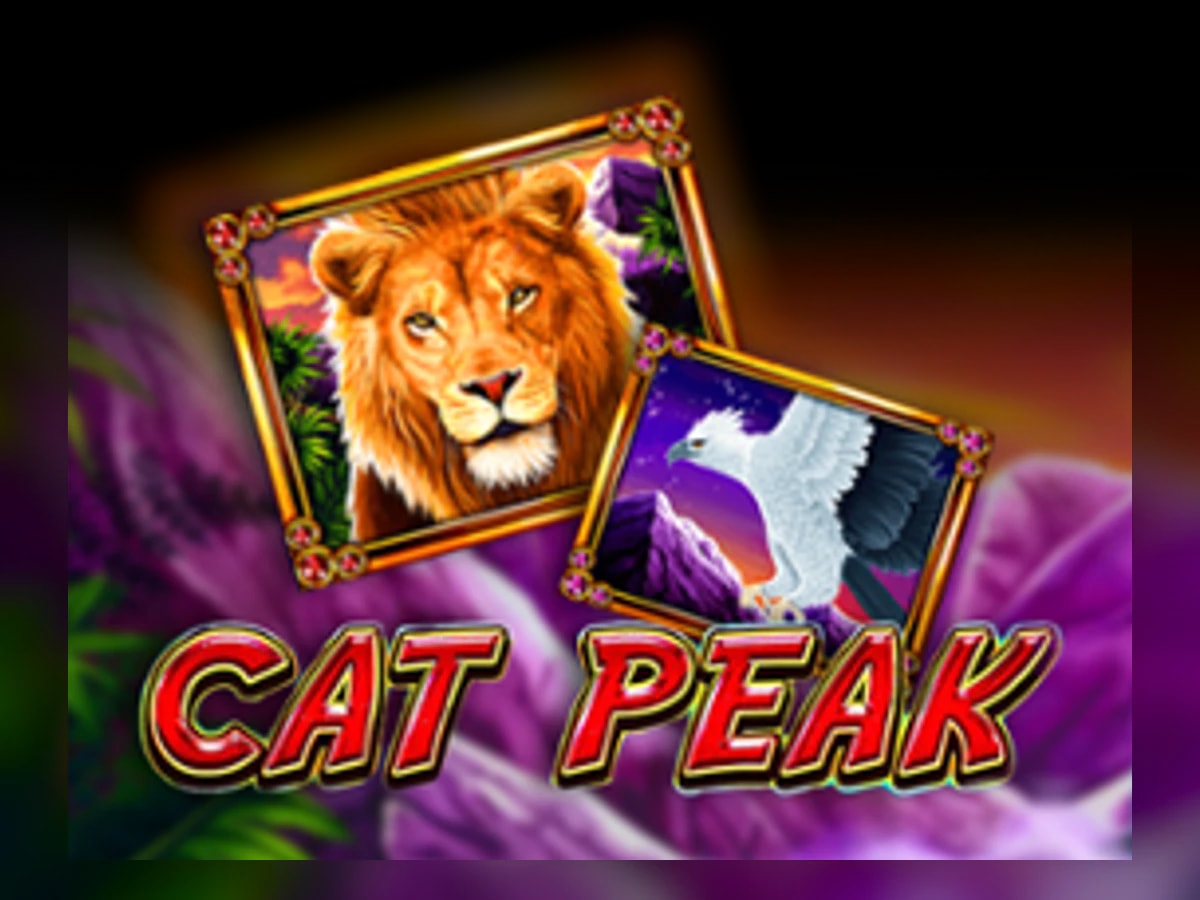 Cat Peak slot game artwork