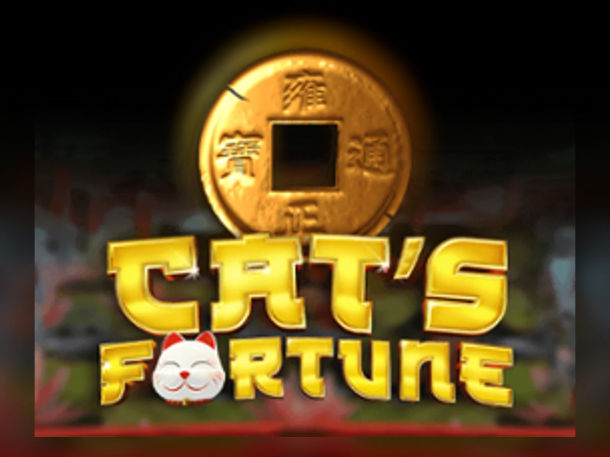 Cat's Fortune slot game artwork