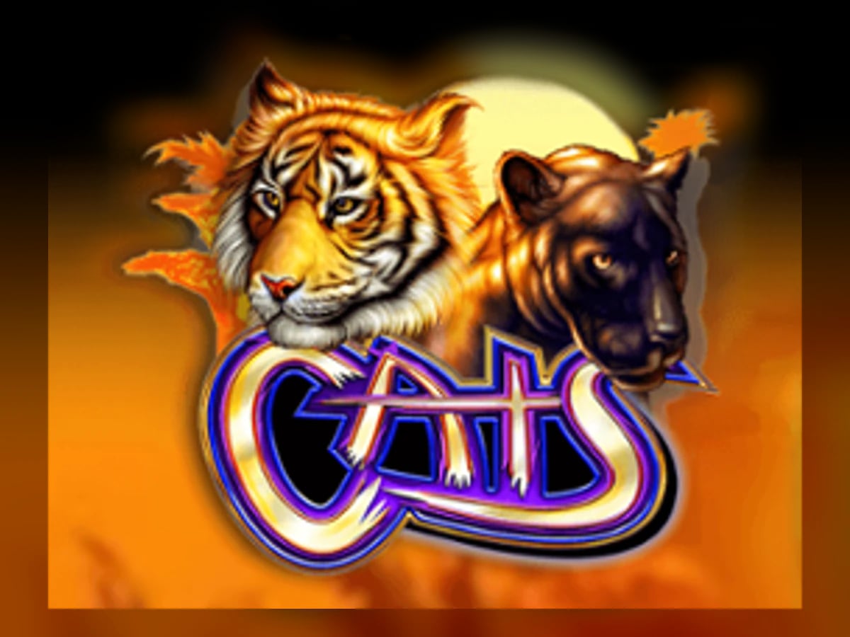 Cats slot game artwork