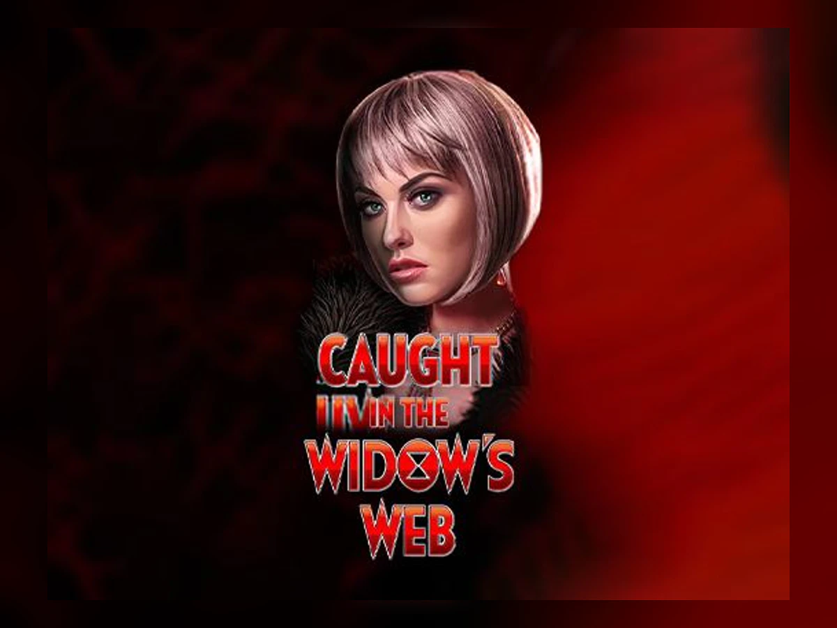 Caught in the Widow's Web slot game artwork