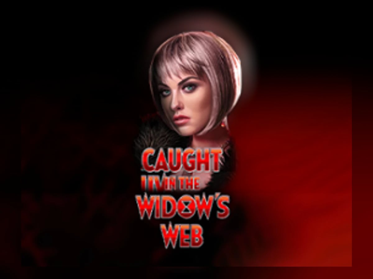 Caught in the Widow's Web slot game artwork