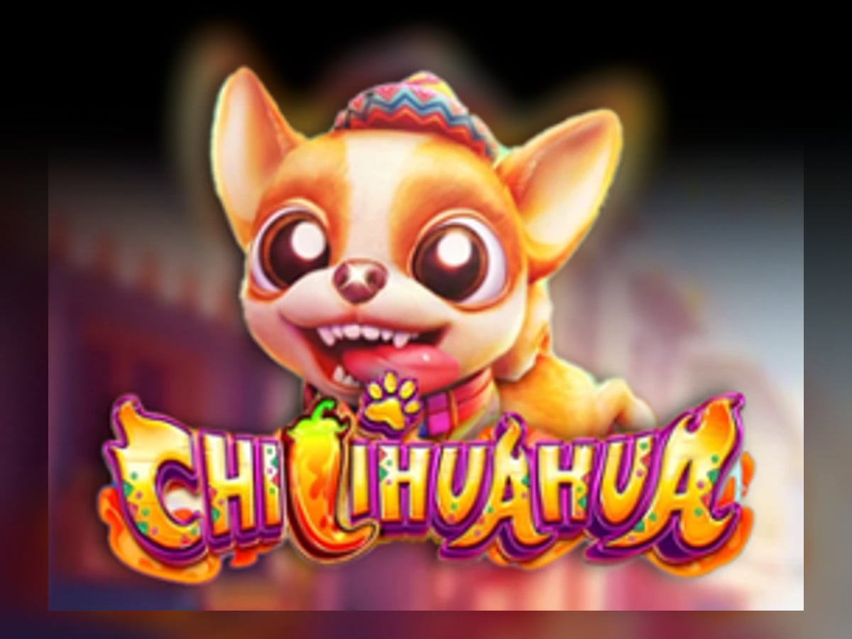 Chilihuahua slot game artwork