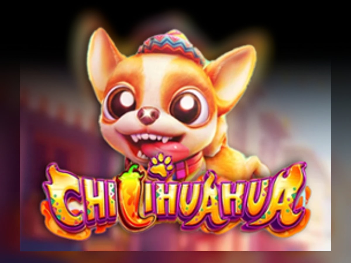 Chilihuahua slot game artwork