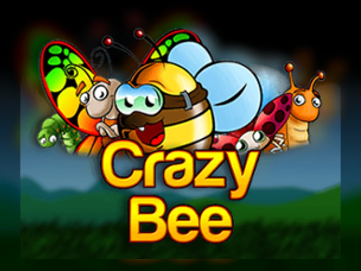 Crazy Bee slot game artwork