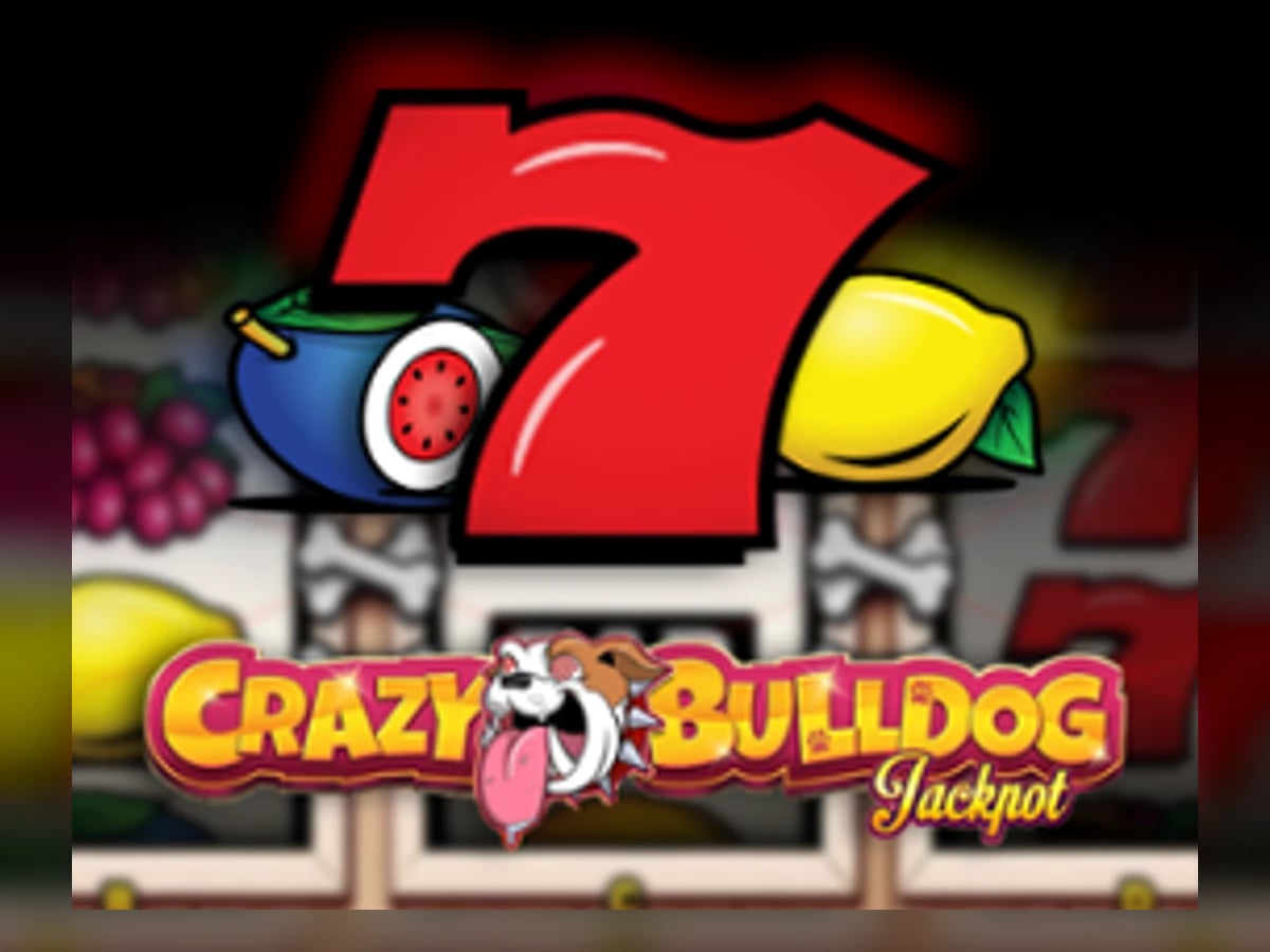 Crazy Bulldog slot game artwork