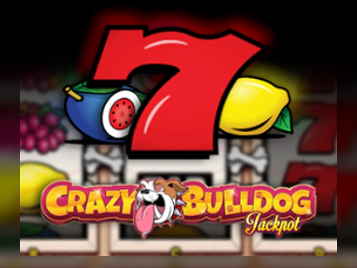Crazy Bulldog slot game artwork
