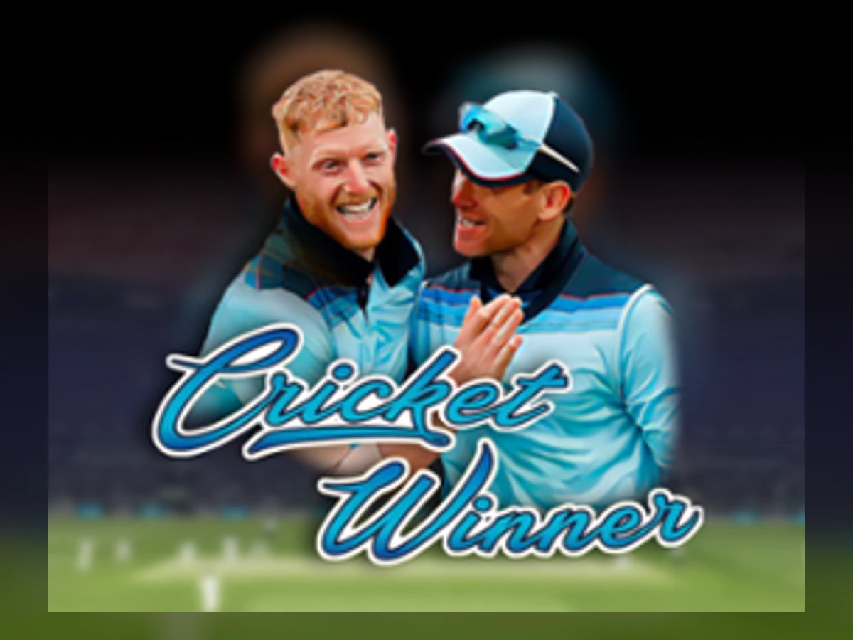 Cricket Winner slot game artwork